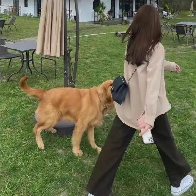 生活的城市
